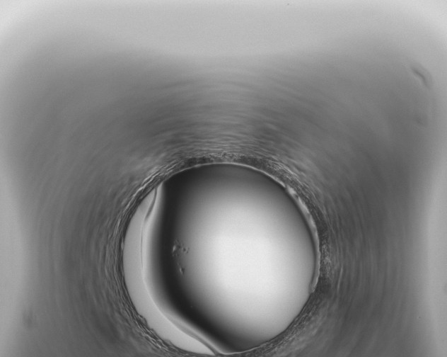 X0000115141057200911101703