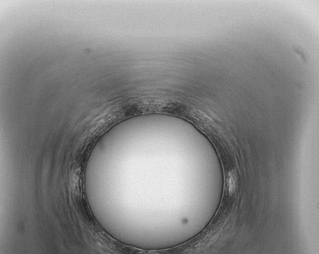 X0000115141059200911101703
