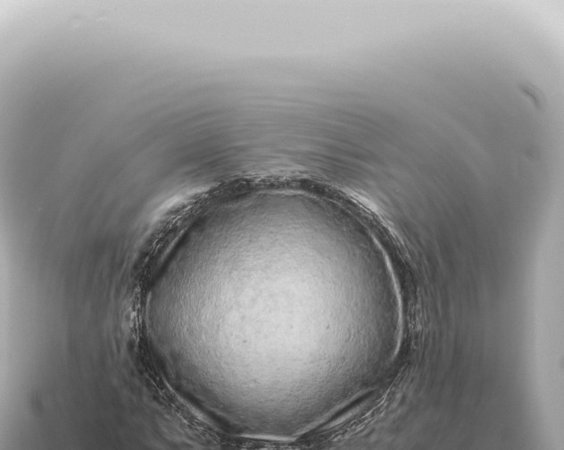 X0000115141063200911101703