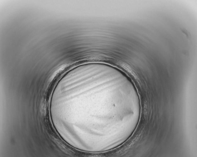 X0000115141067200911101703