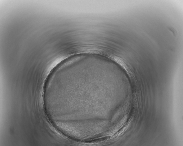X0000115141071200911101703