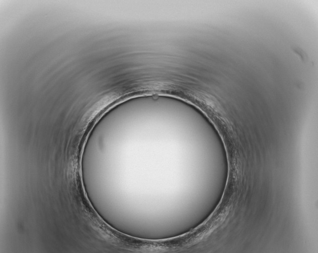 X0000115141073200911101703