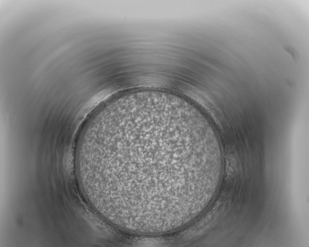 X0000115141074200911101703