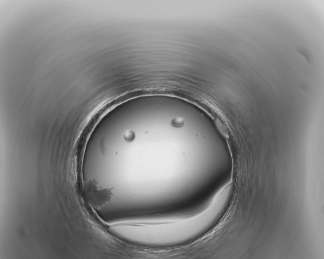 X0000115141075200911101703