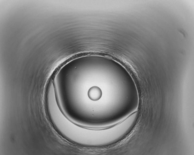 X0000115141077200911101703