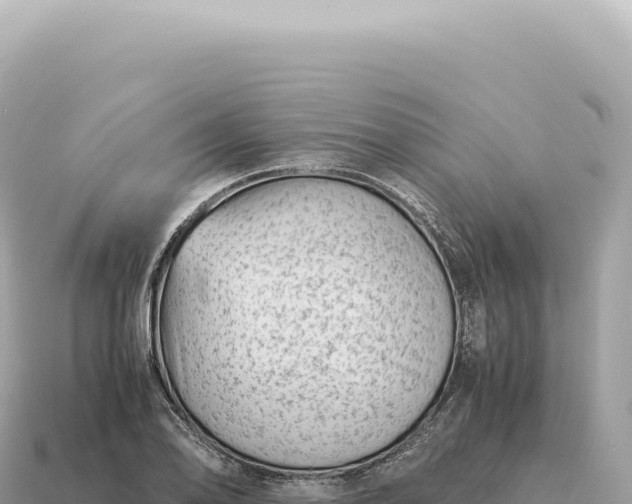 X0000115141078200911101703
