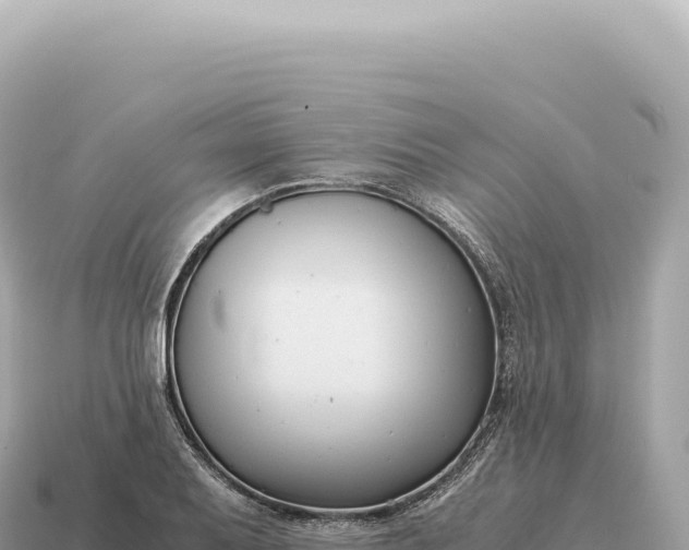 X0000115141079200911101703