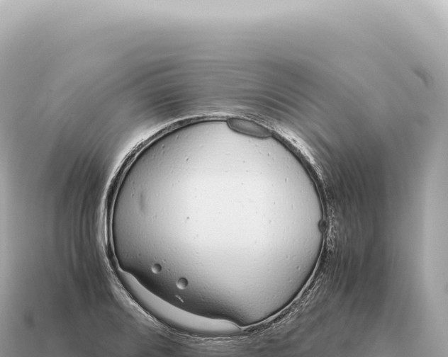 X0000115141080200911101703