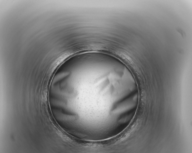 X0000115141081200911101703