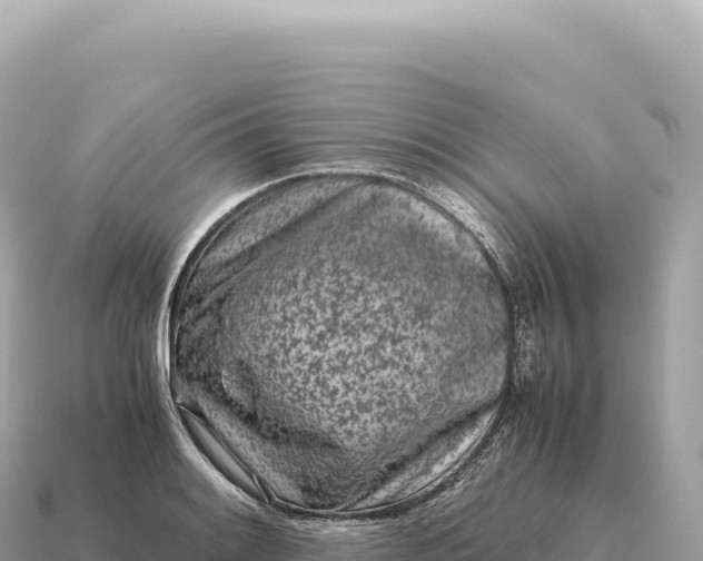 X0000115141084200911101703