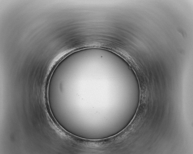 X0000115141086200911101703