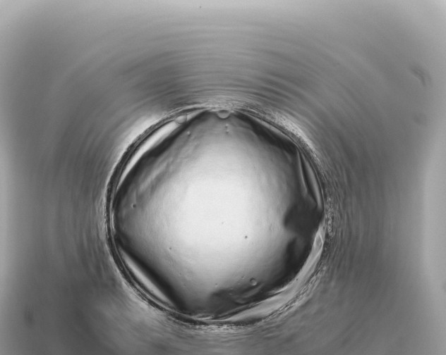X0000115141087200911101703