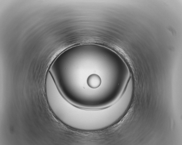 X0000115141089200911101703