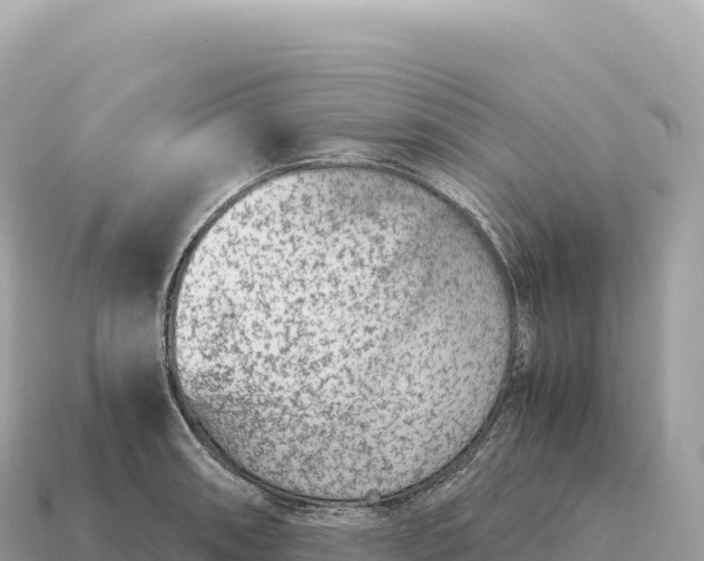 X0000115141090200911101703