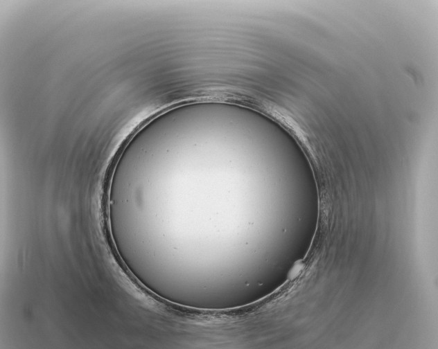 X0000115141091200911101703