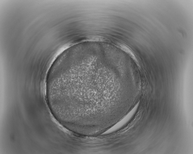 X0000115141095200911101702
