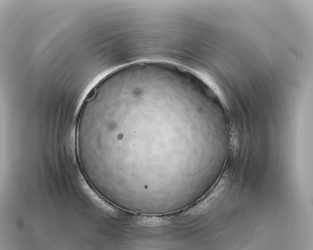 X0000115141100200911101702