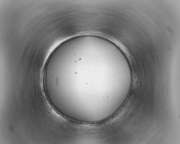 X0000115141102200911101702