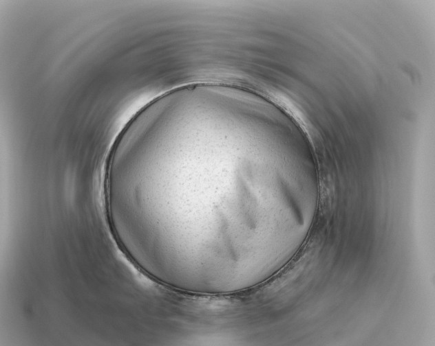 X0000115141103200911101702