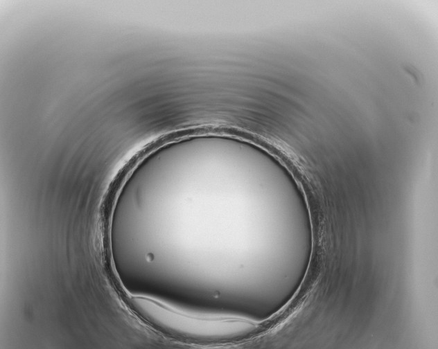 X0000115141118200911101702