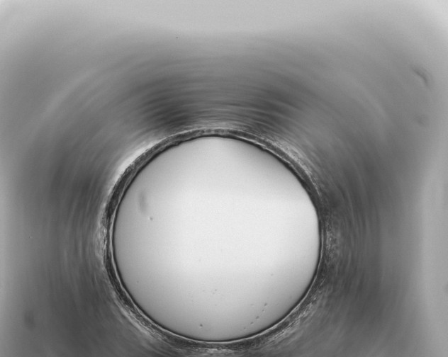 X0000115141119200911101702