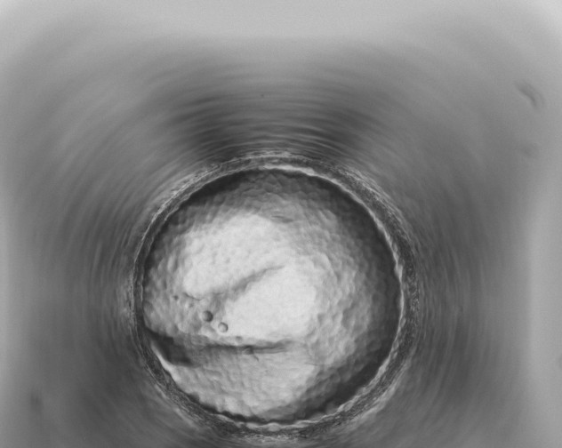 X0000115141121200911101702