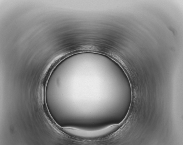 X0000115141123200911101702