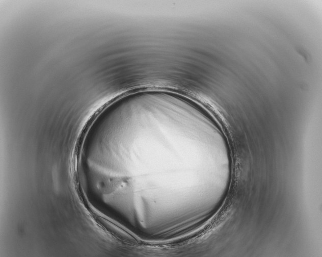 X0000115141125200911101702