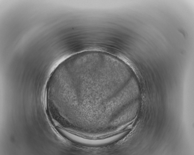 X0000115141127200911101702