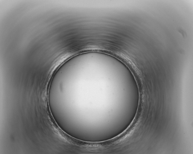 X0000115141129200911101702