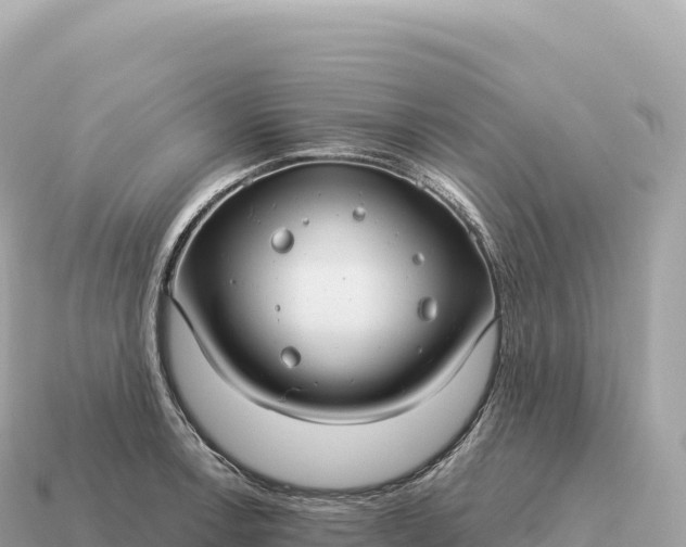 X0000115141138200911101702