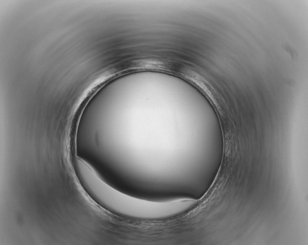 X0000115141139200911101702