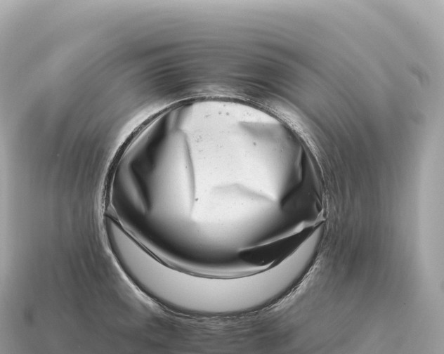 X0000115141141200911101702