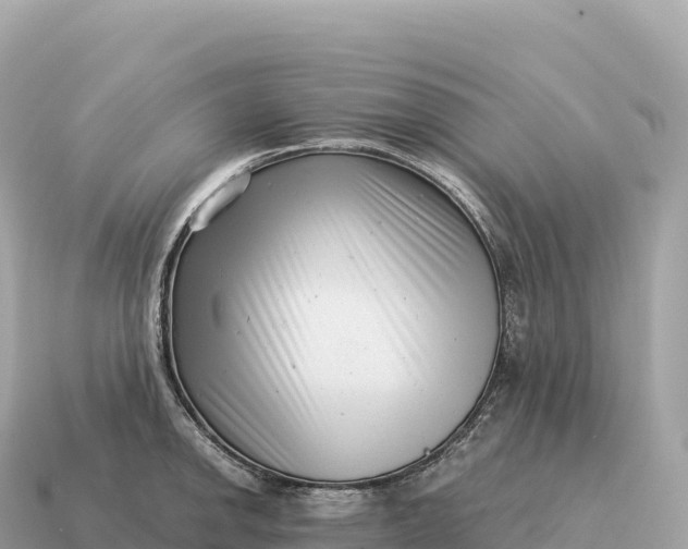X0000115141142200911101702
