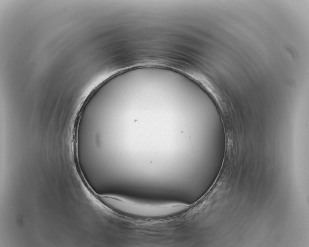 X0000115141143200911101702
