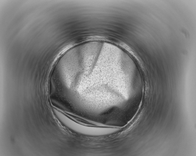 X0000115141145200911101702