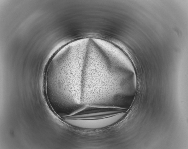 X0000115141147200911101702