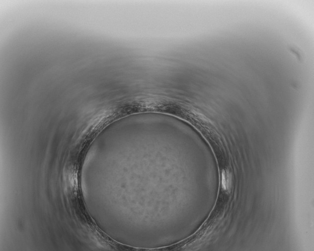 X0000115141155200911101702