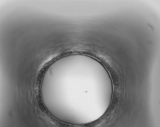 X0000115141159200911101702