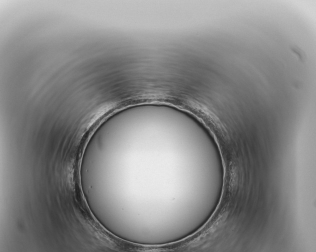 X0000115141162200911101701