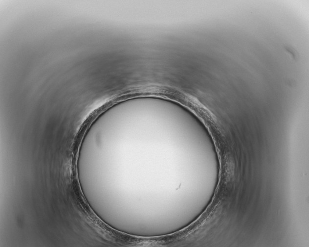 X0000115141166200911101701