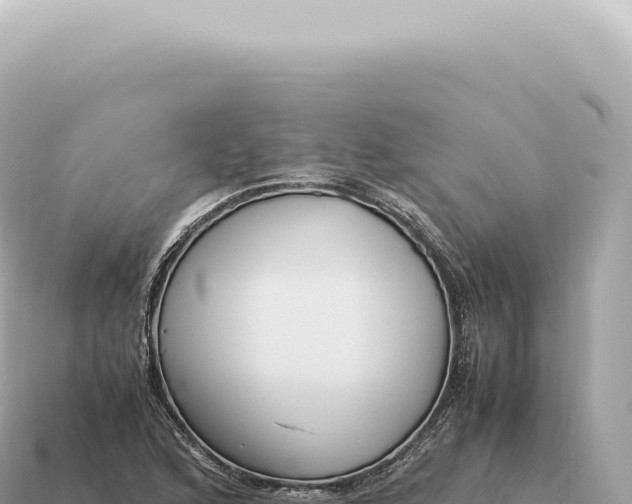 X0000115141168200911101701