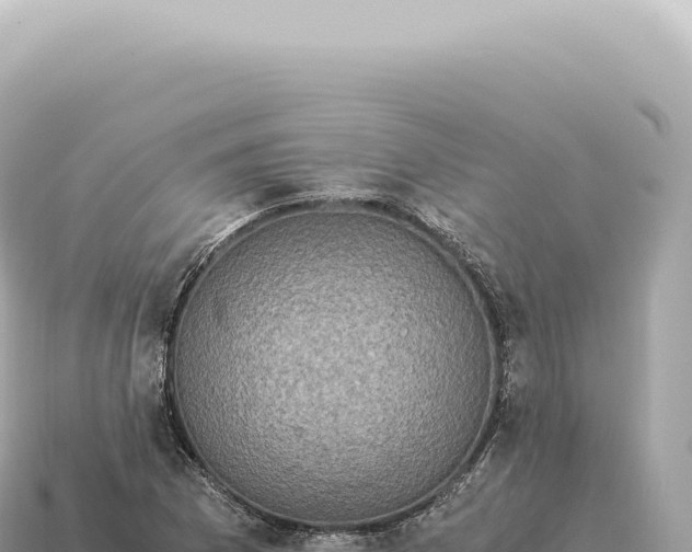 X0000115141169200911101701