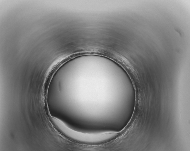 X0000115141172200911101701