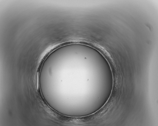 X0000115141175200911101701
