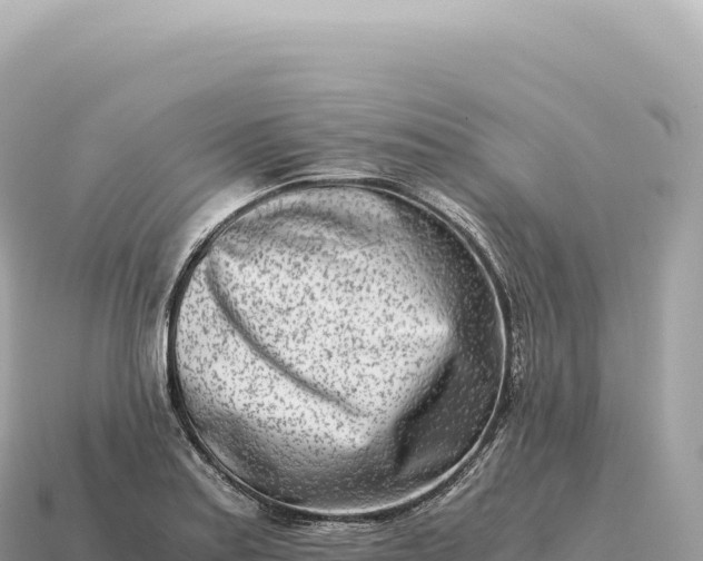 X0000115141179200911101701