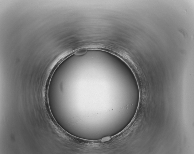 X0000115141181200911101701