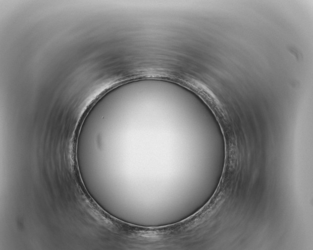 X0000115141182200911101701