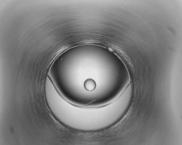 X0000115141185200911101701