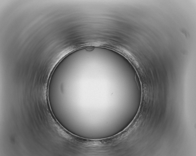 X0000115141186200911101701